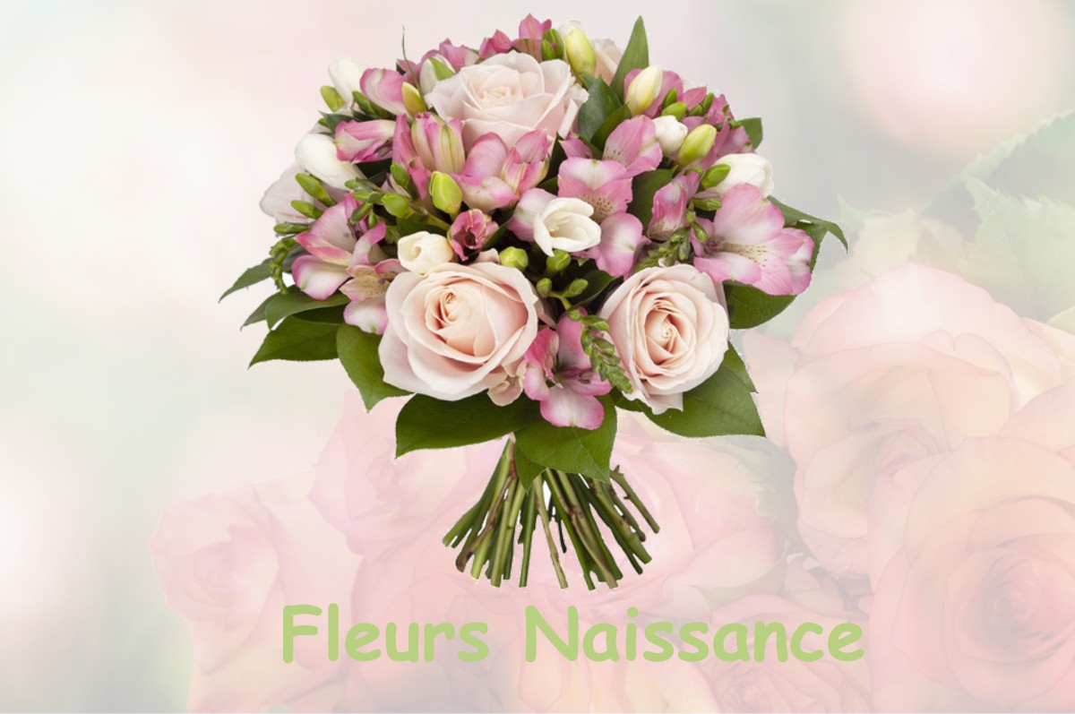 fleurs naissance VERTRIEU