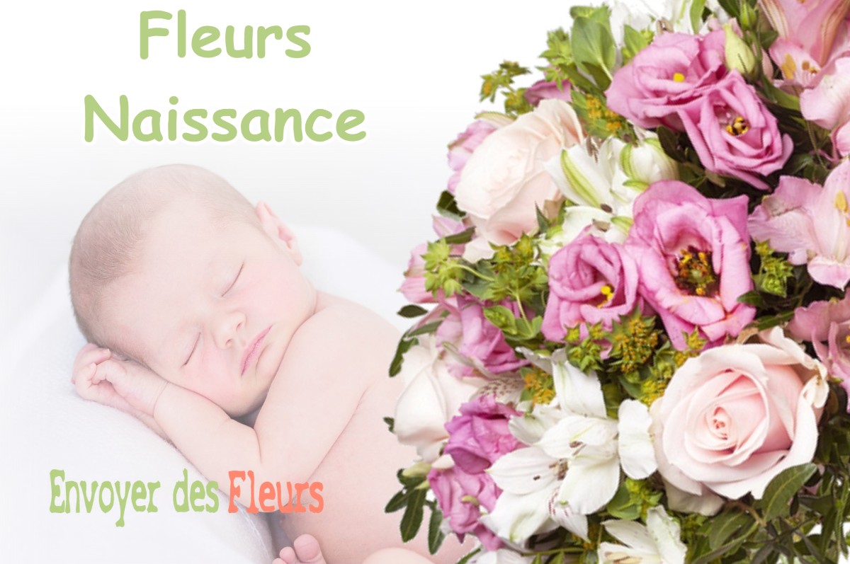 lIVRAISON FLEURS NAISSANCE à VERTRIEU